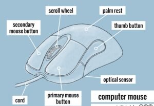 Features Of Computer Mouse - Classnotes.ng