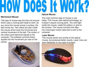 How Does a Mouse Work?