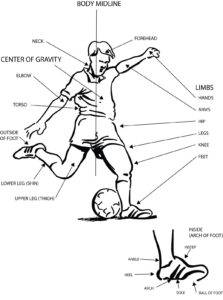 Movement of Our Body - Shooting, Heading, Bending, and Stretching