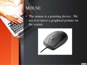 Uses of Computer Mouse Features