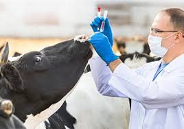 farm animals diseases and agents