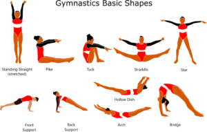 basic gymnastics 