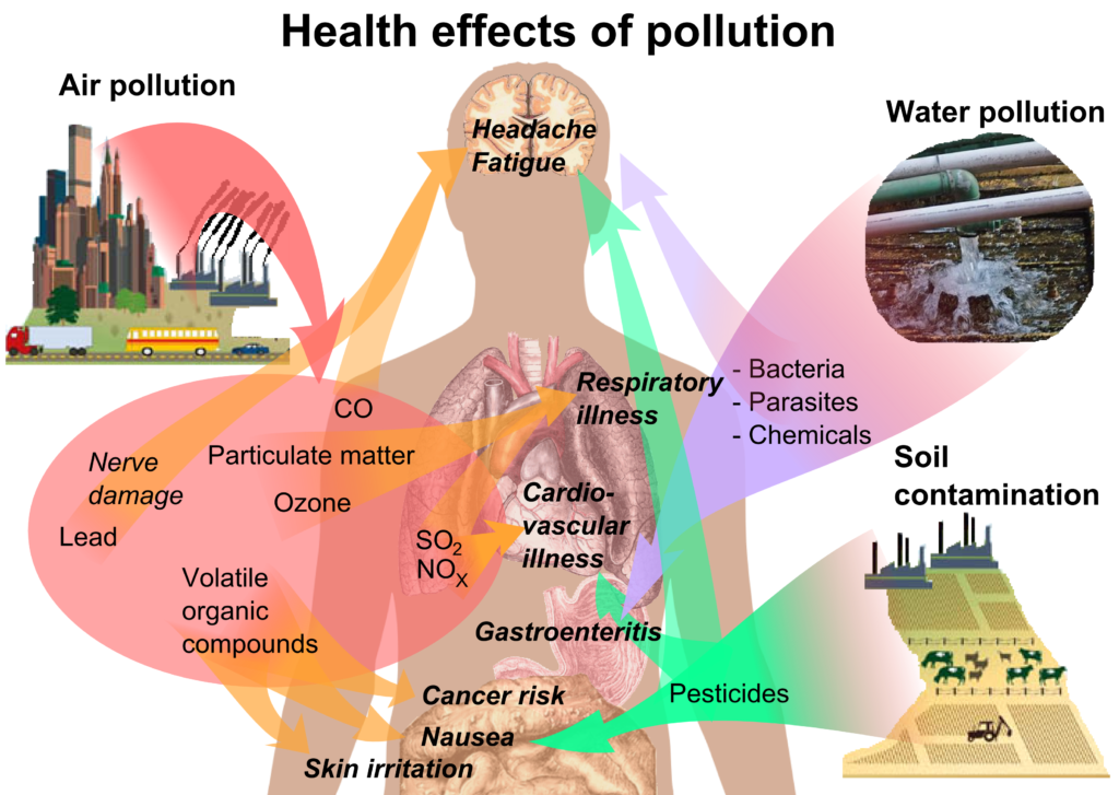 effects-of-environmental-pollution-class-notes