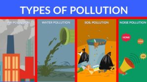 Meaning of Environmental Pollution