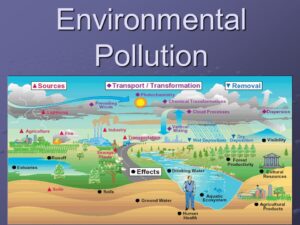 Meaning of Environmental Pollution