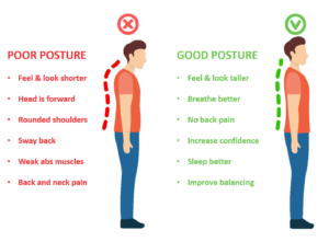 Meaning and Kinds of Posture