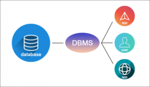 Database - Forms of Database