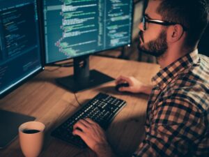 Computer professionals - Programmers