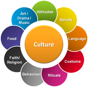 Cultural and Environmental Studies