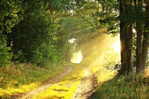 Who is God? - God is Omnipresent, Omnipotent, and Omniscience