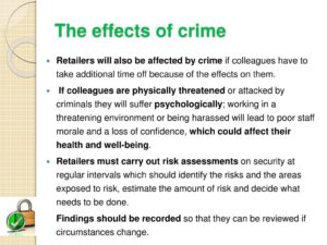 Negative Impacts of Common Crimes