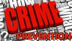 Prevention Strategies for Common Crimes