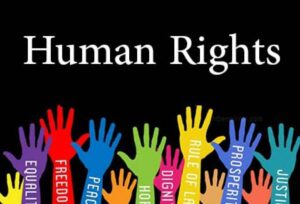 Protection of Human Rights and the Rule of Law