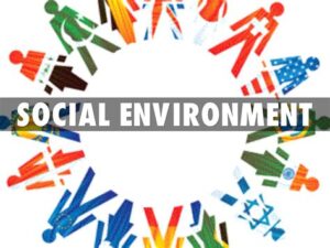 The Social Environment