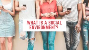 The Social Environment