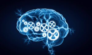The Importance of Intelligence in Preventing and Solving Crimes