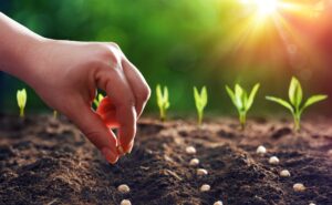 Planting Operations