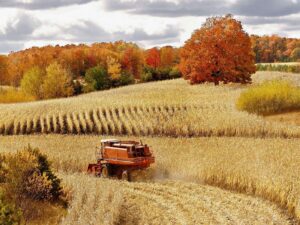 Effects of Timely Harvest versus Late Harvest