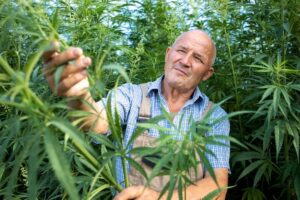 Uses of crops