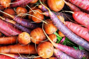 uses of crops