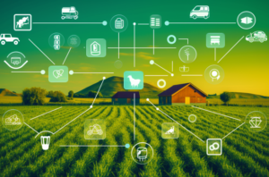 Importance of Agriculture in Society