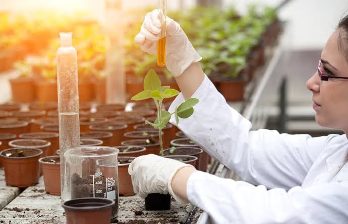 Applications in agriculture and biotechnology - Class Notes