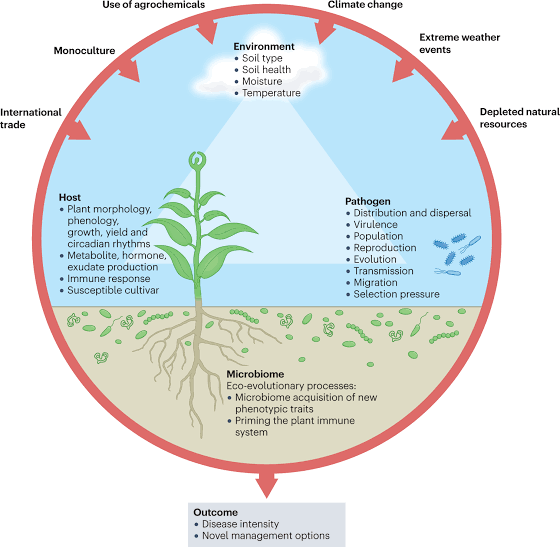 Impact of climate change on plant water relations - Class Notes