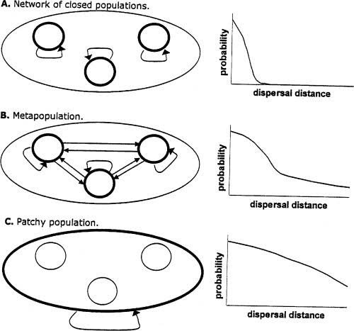 Peripheral Population Pattern Example Population dynamics, dispersion, and structure - Class Notes