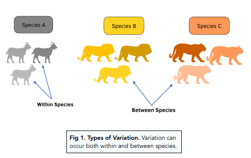 Variations Generations Role of variation in evolution - Class Notes