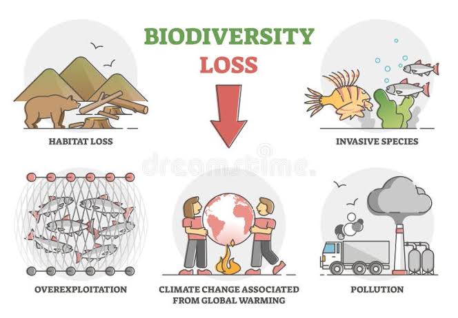 Threats to biodiversity (invasive species, climate change, habitat loss ...