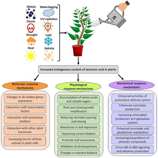 Molecular and physiological responses to stress - Class Notes