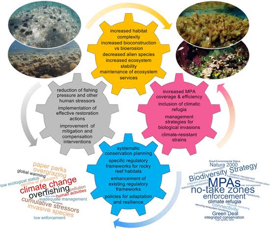 Conservation Strategy Conservation strategies and policies - Class Notes