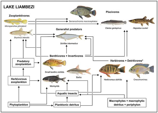 Fish Behavior And Ecology - Class Notes