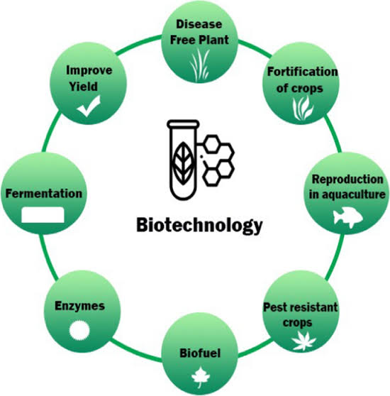 Use In Food Production, Biotechnology, And Medicine - ClassNotes.ng