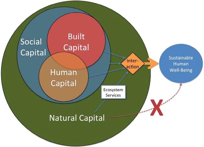 Ecosystem Services Natural Capital Classnotes Ng